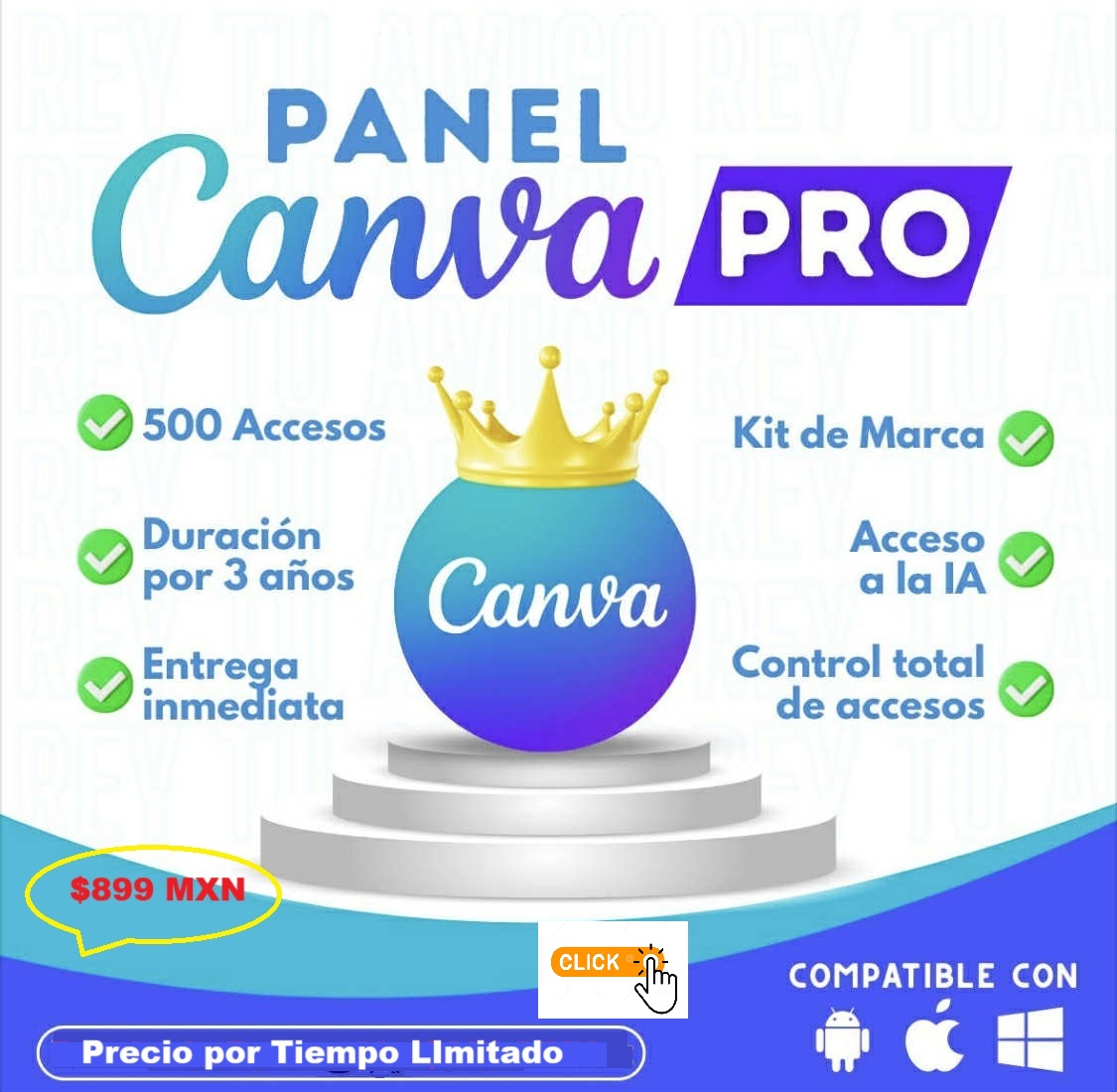 $990MXN PANEL 500 USUARIOS