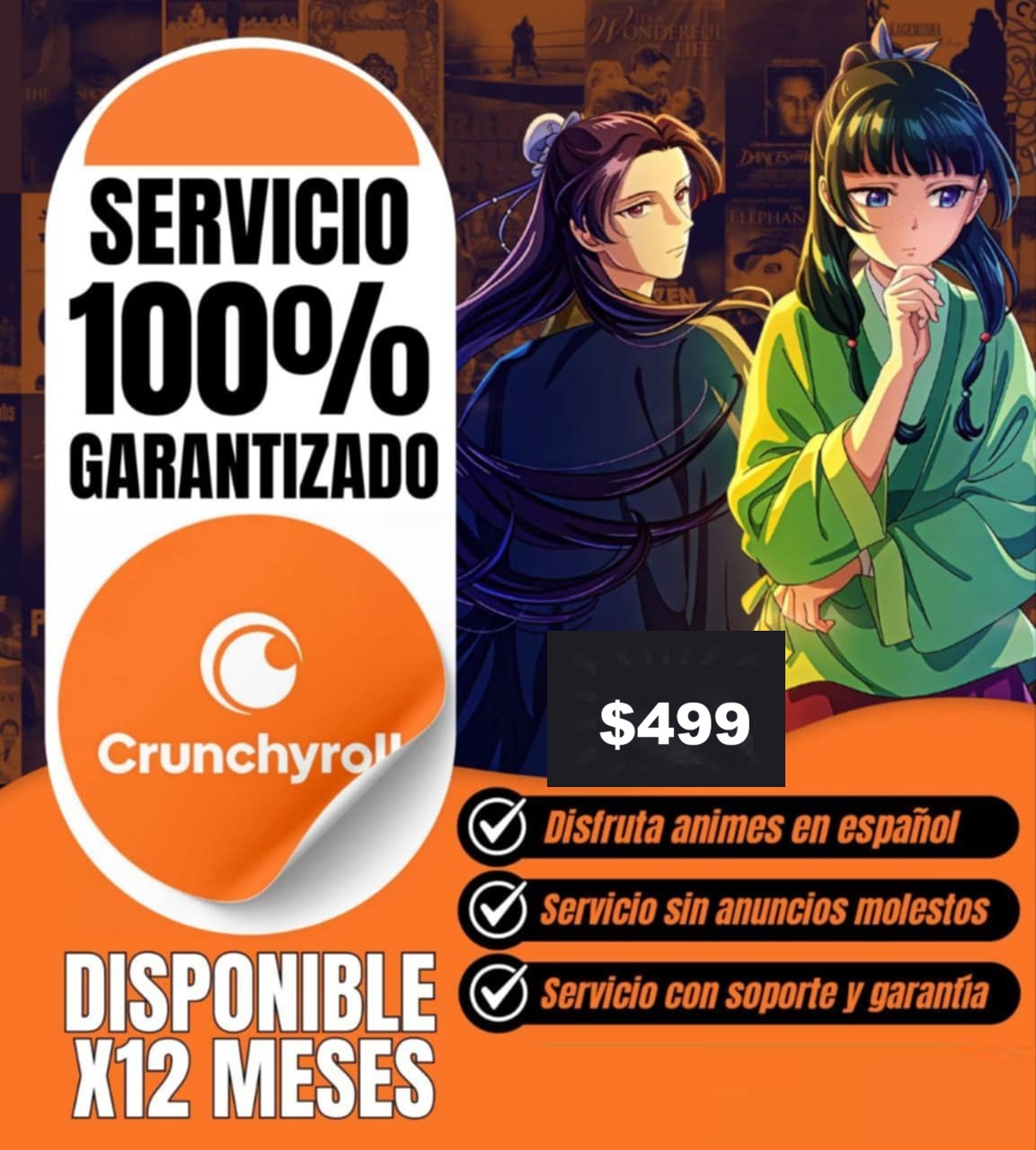 $499MXN ANUAL (CLIC AQUI)